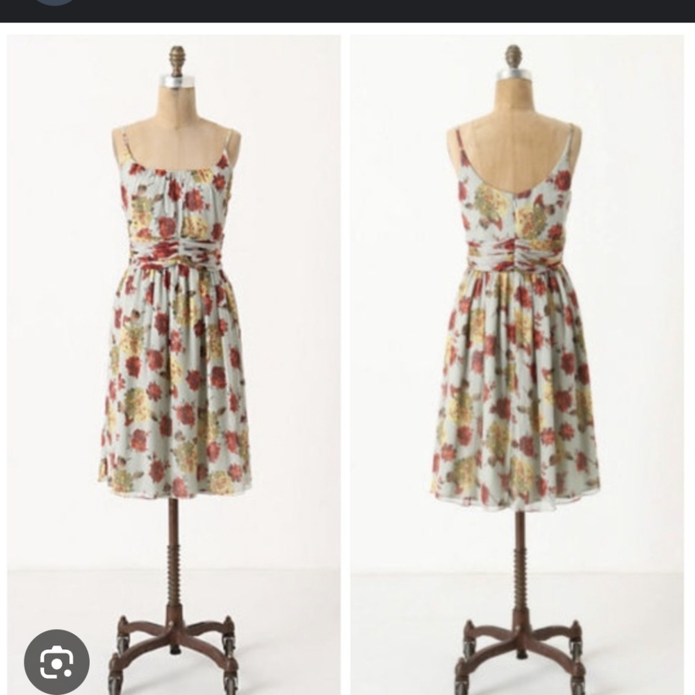 Anna Sui For Anthropologie BNWT Rose And Hortensia Silk Dress Size 8